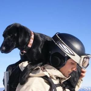 Meet your Posher, Isaiah